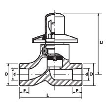 Esquema Llave de pasoº